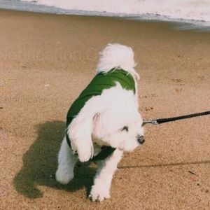 Meet your Posher, Jada